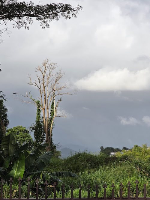  Esta foto muestra un cielo lleno de nubes oscuras sobre una granja verde en el este de Puerto Rico.