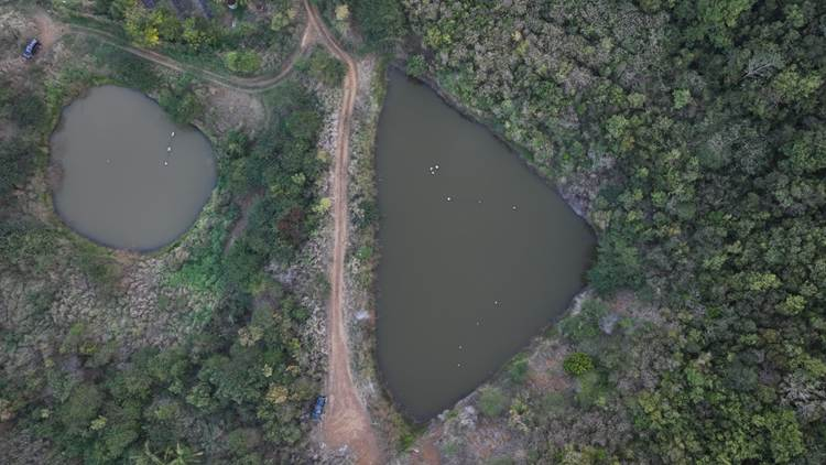 Esta foto muestra dos estanques en una finca de St. Thomas que están casi llenos, pero no del todo.