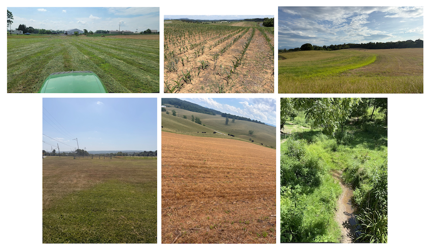  A collage of six photos from Condition Monitoring Observer Reports illustrating drought impacts across the Mid-Atlantic from June 15 to July 10. The top row, from left to right, shows agricultural stress: a field with crop loss in Frederick, Maryland; sparse, damaged crops growing in dry, cracked soil in Augusta, Virginia; and patchy, reduced crop yields in Rockbridge, Virginia. The bottom row, from left to right, shows environmental impacts: severe vegetation browning in a grassy field in Hunterdon, New Jersey; a completely browned hillside pasture indicating hay loss in Floyd, Virginia; and a nearly dry creek bed indicating low streamflow in Mason, West Virginia.