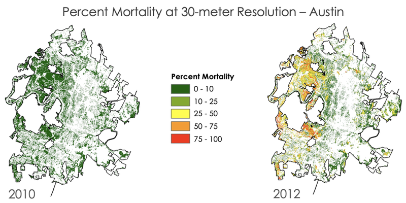 Percent Mortality - Austin