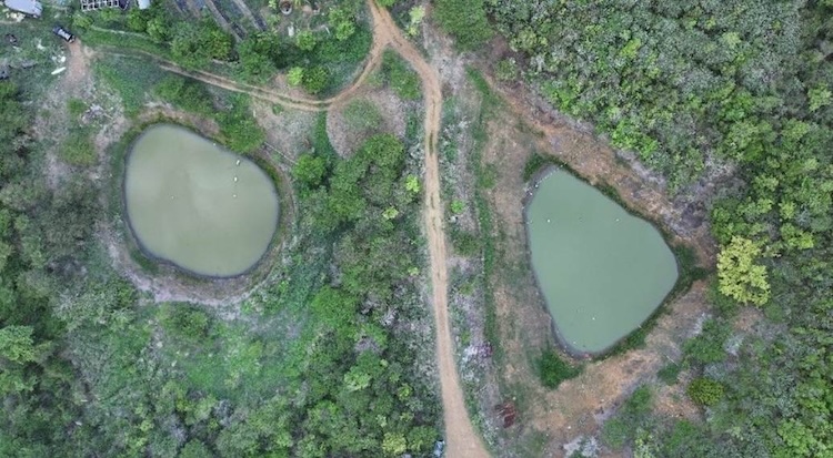 This photo is showing two ponds in Bordeaux, St. Thomas from an aerial perspective, with water levels noticeably low.