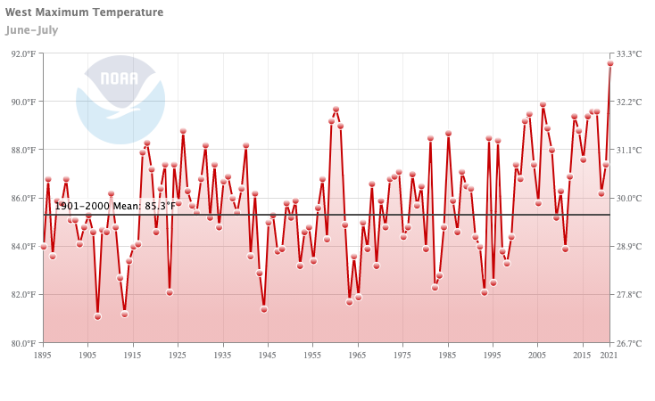 A timeseries of the California Nevada spatially averaged maximum daily temperature for June and July from 1895-2021. Notably, the region had the warmest June-July minimum and maximum temperatures in the instrumental record in July 2021.