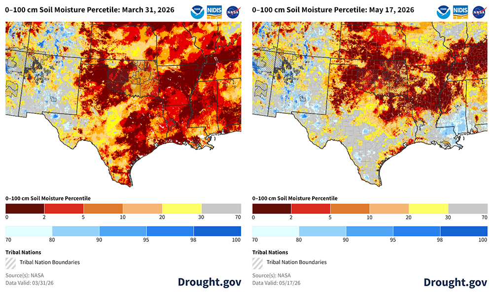 Two maps showing soil moisture conditions for the Southern Plains on March 31 and May 17. On the March 31 map, much of central and southern Texas, western Oklahoma, and the Oklahoma/Texas Panhandles, are in the bottom 2nd to 5th percentiles (dark red), representing some of the driest historical measurements for this time of year. On the May 17 map, soil moisture conditions improved in parts of Texas. However,  extreme to exceptional soil moisture deficits (0 to 5th percentile) are heavily clustered across the Texas Panhandle, western Oklahoma and Kansas.   