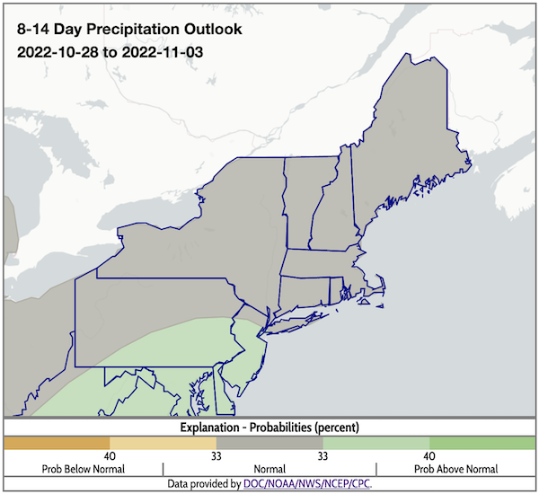 From October 28 to November 2, odds favor near-normal precipitation across the Northeast.