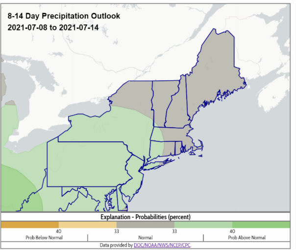 Climate Predication Center 8-14 day precipitation outlook for the Northeast, for July 8-14, 2021.