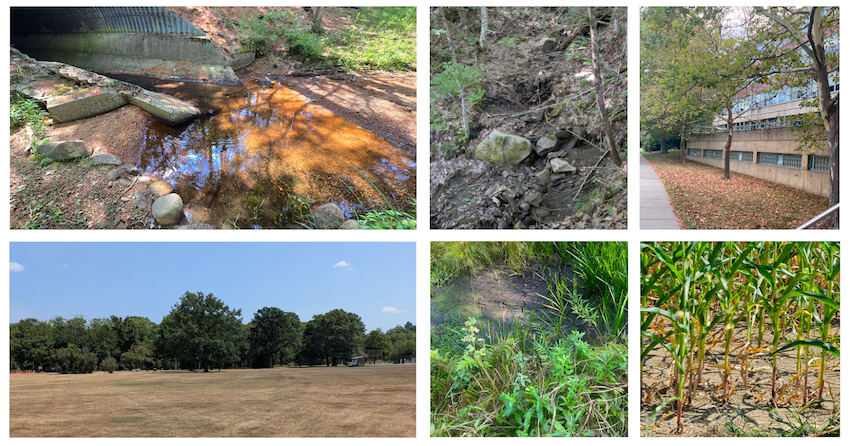 Top left: very low streamflow on Otter Creek near Bar Harbor, Maine; top center: creek is completely dried up in Caledonia, Vermont; top right: trees drought stressed and dropping a significant number of leaves in Tompkins County, New York; bottom left: Somerset, Maine grass is brown and burnt; bottom center: in Washington, Vermont a settlement pond is completely dry and cracked; bottom right: corn fields are extremely dry in Penobscot, Maine.
