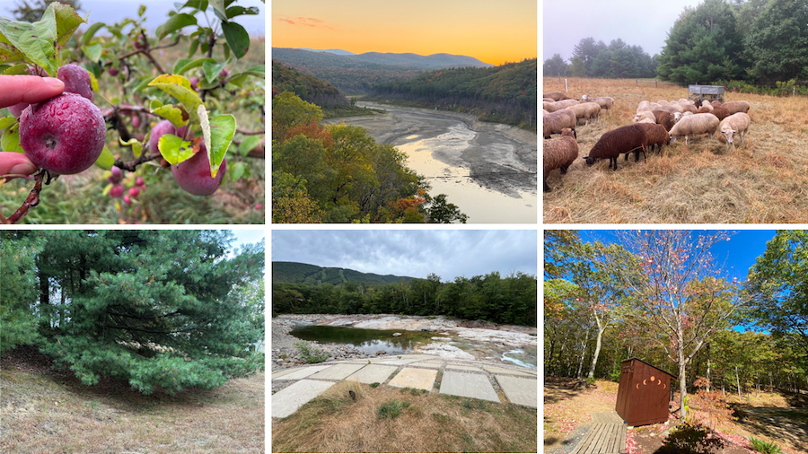 Top left: small apples due to lack of rainfall in Addison County, Vermont; top center: low water levels at Ball Mountain Lake in Windham County, Vermont; top right: feeding hay early in Caledonia County, Vermont; bottom left: dry grass in Dutchess County, New York; bottom center: East Branch Pemigewasset River during drought near Lincoln, New Hampshire; bottom right: early leaf drop in Grafton County, New Hampshire.