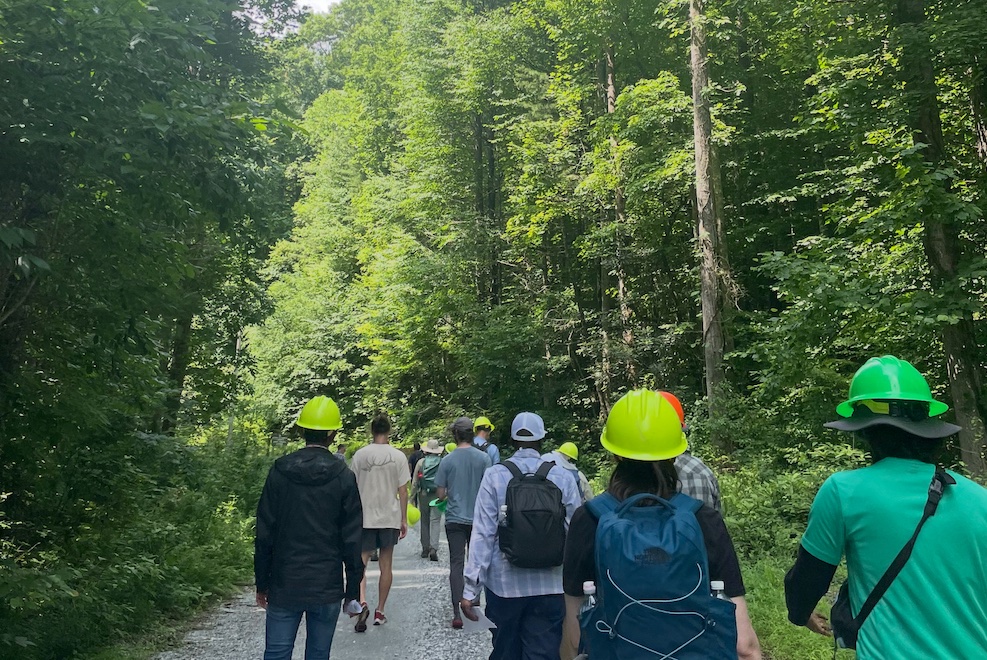 Workshop attendees in hard hats walk along a path in a forest.