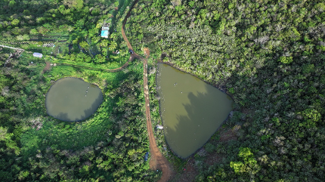 Full ponds are surrounded by green forest and vegetation in an aerial photo of St. Thomas.