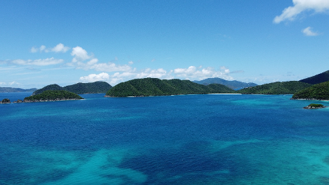 Green vegetation flourishes next to blue water in this aerial photo of Mary’s Point on St. John.