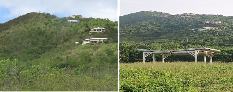 Vegetation stress, resulting from drought, has greatly improved on St. Croix.