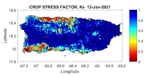 Crop stress factor for Puerto Rico, as of January 12, 2021. Shows high crop stress across the north central and southwest.