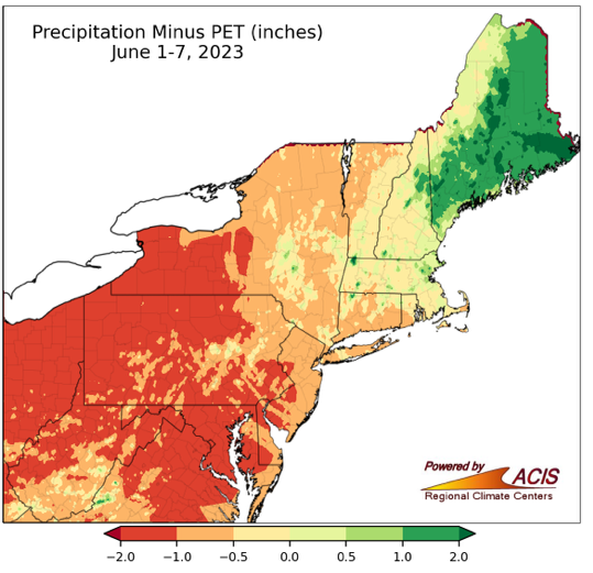 Precipitation minus potential evapotranspiration in inches across the Northeast.