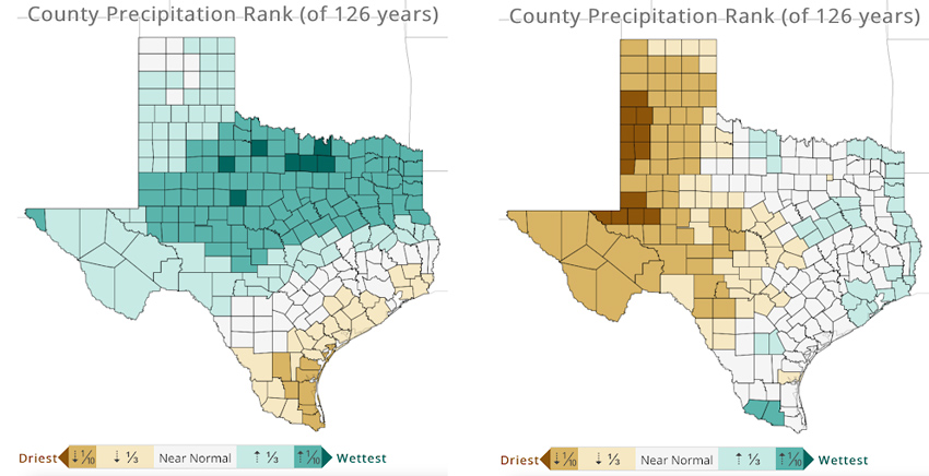 Texas maps showing rainfall rank by county for January - March 2020 (left image) and for April - December 2020 (right image). The first 3 months of 2020 were the record wettest years (out of the last 126 years) for 7 counties in Texas. The final 9 months were the record driest in 13 counties.
