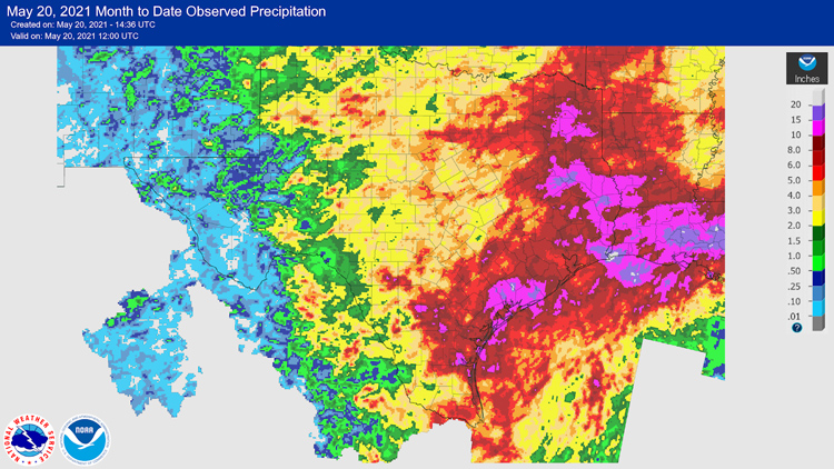 May 1-20 observed precipitation totals across southern Texas.
