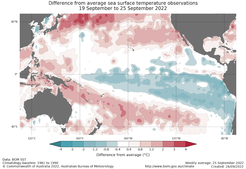 A pool of cool water lingers in the central equatorial pacific, consistent with a la Niña pattern.