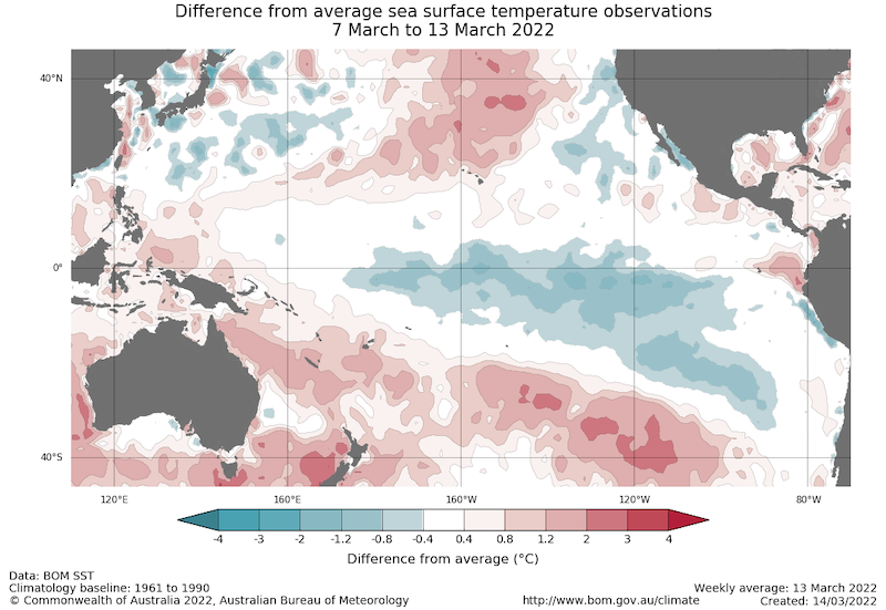 Map of the Pacific Ocean showing sea surface temperature anomalies (in degrees Celsius) for March 6-13, 2022. A pool of cool water lingers in the central equatorial pacific, consistent with a la Niña pattern.  