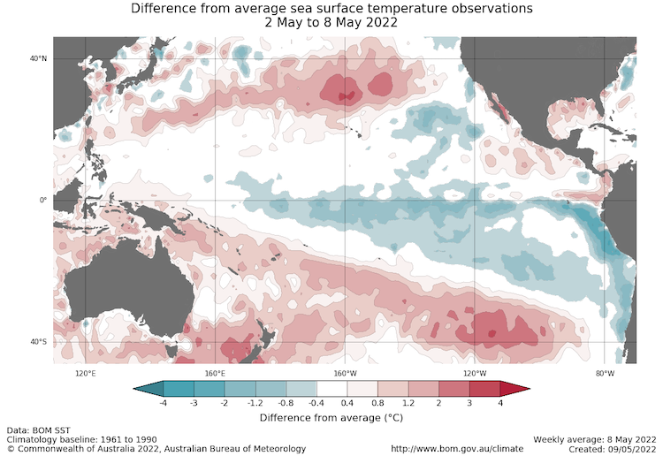 Map of the Pacific Ocean showing sea surface temperature anomalies (in degrees Celsius) for May 2-8, 2022. A pool of cool water lingers in the central equatorial pacific, consistent with a la Niña pattern.
