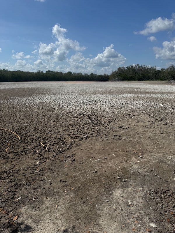 Eco Pond near Flamingo, Florida is experiencing severe hydrologic drought conditions. The pond has no visible water in it, with the pond-bottom exposed causing the soils to crack.