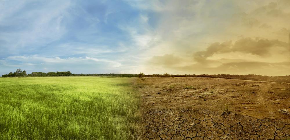 Landscape moving into drought