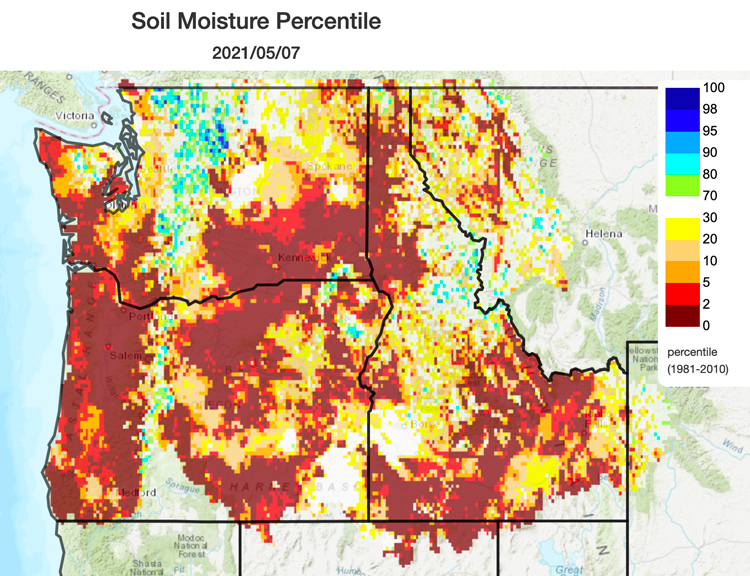 Pacific Northwest map showing the soil moisture percentile based on the period 1981-2010. Valid May 7, 2021. The entire region is showing soil moisture in the 0-20 percentiles with much 5 and below except for the ridge of the Cascades, north central Washington and a bit of central Idaho and the Southeast Idaho Panhandle. 