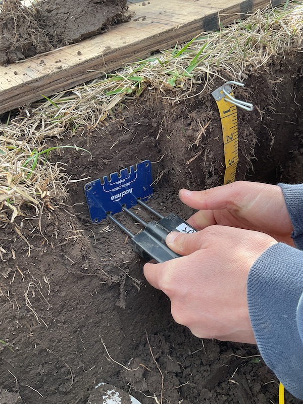 A soil moisture sensor is inserted into the ground.