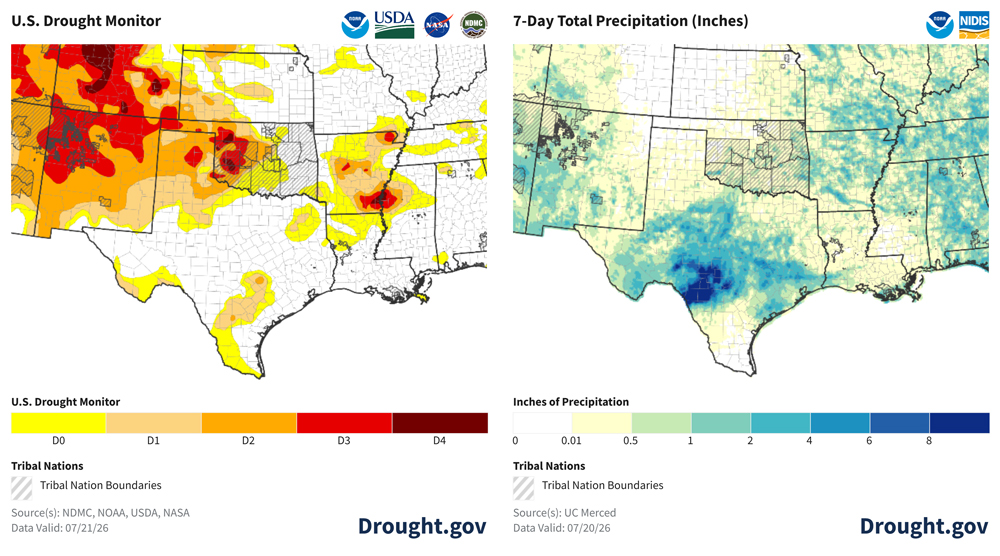 Left:  Severe to exceptional drought (D3–D4) is concentrated heavily across the Texas Panhandle, western Oklahoma, southern Kansas. Central Texas remains mostly drought-free.  Right: From July 13 to 20, heavy rainfall ranging from 4 to over 8 inches is concentrated in south-central Texas, while dry conditions with totals under 0.5 inches prevailed across Oklahoma, Kansas, and Nebraska.  