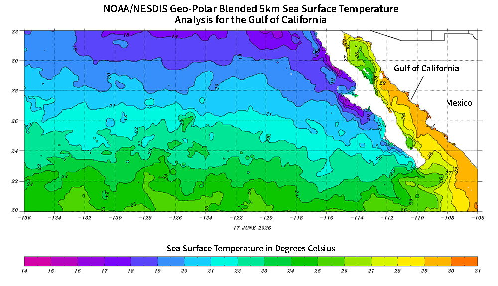  The analysis reveals a distinct warming gradient from northwest to southeast. warmer waters ranging from 26°C to 31°C (shaded yellow and orange) are concentrated inside the Gulf of California and along the coastline of western mainland Mexico, with the highest temperatures peaking near 30°C–31°C at the mouth of the gulf.