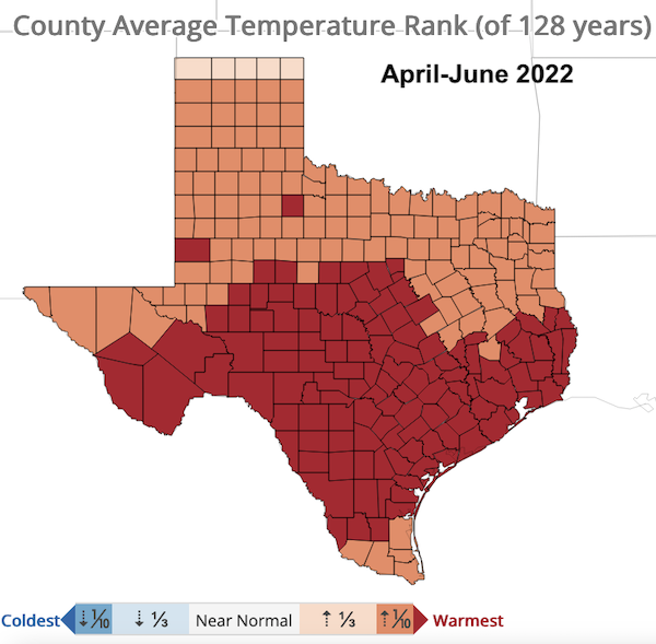 County average April to June 2022 temperature rankings for Texas. Most central and south Texas counties rank warmest on record; overall, all but five counties are in the top ten percent.