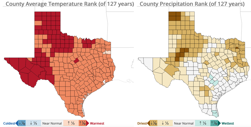 Two maps of Texas showing average temperature and precipitation rankings by county for August 2021 to January 2022.