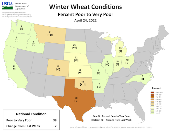 Winter wheat conditions across the U.S. as of April 24, 2022. Winter wheat conditions are poor to very poor across many Great Plains states.