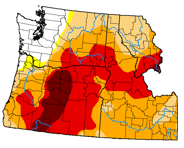U.S. Drought Monitor map of the Pacific Northwest, valid December 14, 2021. Most of the region is experiencing drought conditions, and 36.3% is in extreme (D3) to exceptional (D4) drought.
