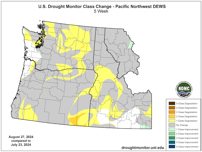 Central Washington, Idaho, and southeastern Oregon have seen a one- to two-class degradation in drought severity as measured by the U.S. Drought Monitor over the last 4 weeks (since July 23, 2024). Drought improvement was highly restricted. Conditions in most of the region remain unchanged.