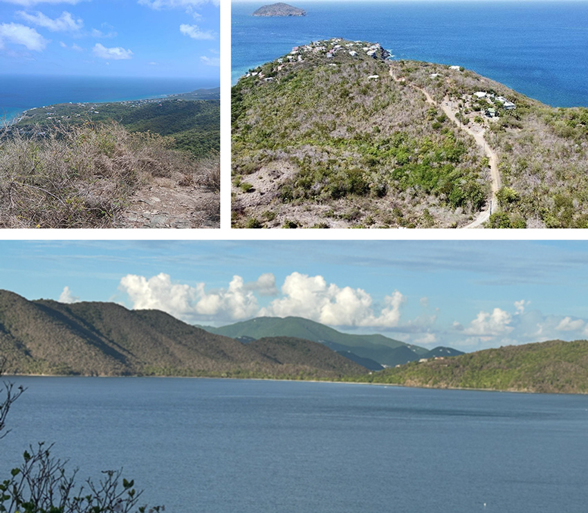 Three photos showing dry vegetation on St. Croix, St. Thomas, and St. John. The first photo shows brown vegetation and dry soils on Mt. Eagle in St. Croix. The second photo shows brown, dry vegetation on Pineapple Point in St. Thomas. The third photo shows brown vegetation covering the islands of Tortola, BVI.