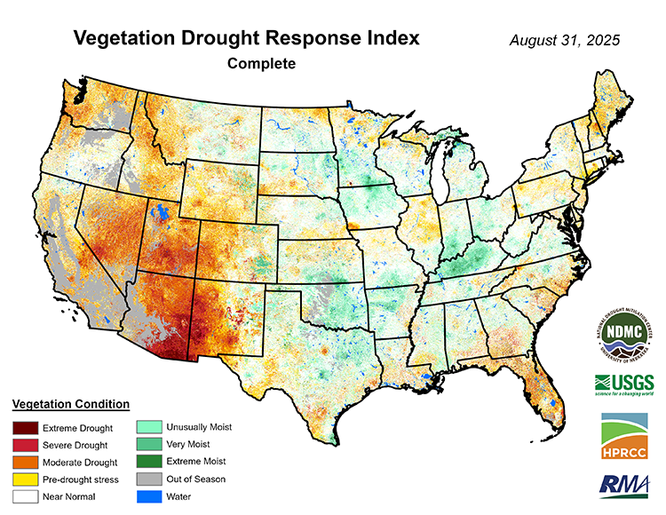 Vegetation is dry and stressed across the West, but particularly in the Southwest. Vegetation is also dry in the Southeast and parts of the Upper Midwest. 