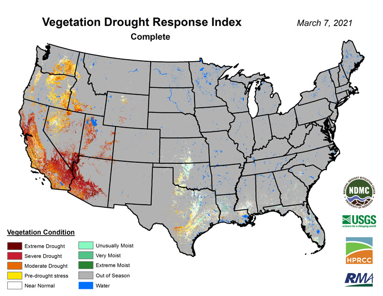 A CONUS map of the Vegetation Drought Index (VegDRI) for 3/7/2021. Areas where the vegetation conditions are in moderate to extreme drought are found in CA, NV, AZ, NM, ID, OR, WA and TX.