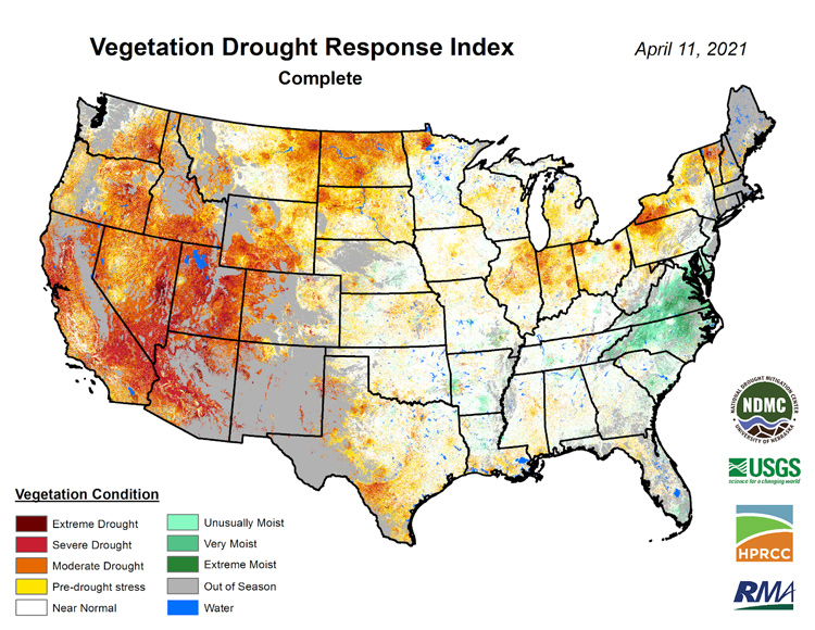 CONUS map of the Vegetation Drought Index (VegDRI) for 4/11/2021. Areas where the vegetation conditions are in moderate to extreme drought are found in CA, NV, AZ, NM, ID, OR, WA, ND and TX.
