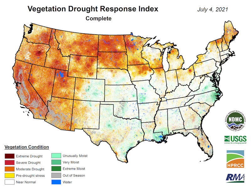 A CONUS map of the Vegetation Drought Index (VegDRI) for 7/4/2021. The color scale ranges from extreme drought (dark brown) to near normal (white) to extreme moist (green). Areas where the vegetation conditions are in moderate to extreme drought are found in all western states, the northern plains, and parts of the midwest and the northeast.