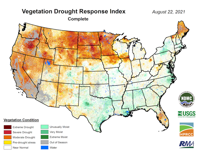  A CONUS map of the Vegetation Drought Index (VegDRI) for August 22, 2021. Areas where the vegetation conditions are in moderate to extreme drought are found in all western states, the northern plains, and parts of the midwest and the northeast.