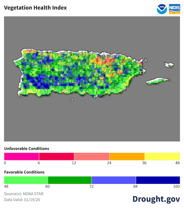 Este mapa muestra condiciones favorables para la vegetación en la mayor parte del interior, desde Aibonito hasta Hormigueros. Se dan condiciones desfavorables en algunas zonas del interior oriental y en la costa noroeste extrema.