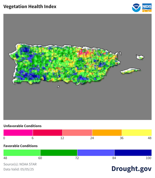 The majority of the vegetation in Puerto Rico shows favorable conditions, but some dry spots persist in northwestern Puerto Rico.