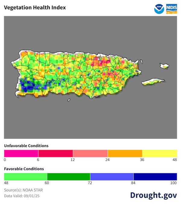 ste mapa muestra que gran parte de la vegetación de Puerto Rico presenta condiciones favorables, en particular en el interior y suroeste, pero persisten algunos puntos secos, especialmente en el noroeste de Puerto Rico.