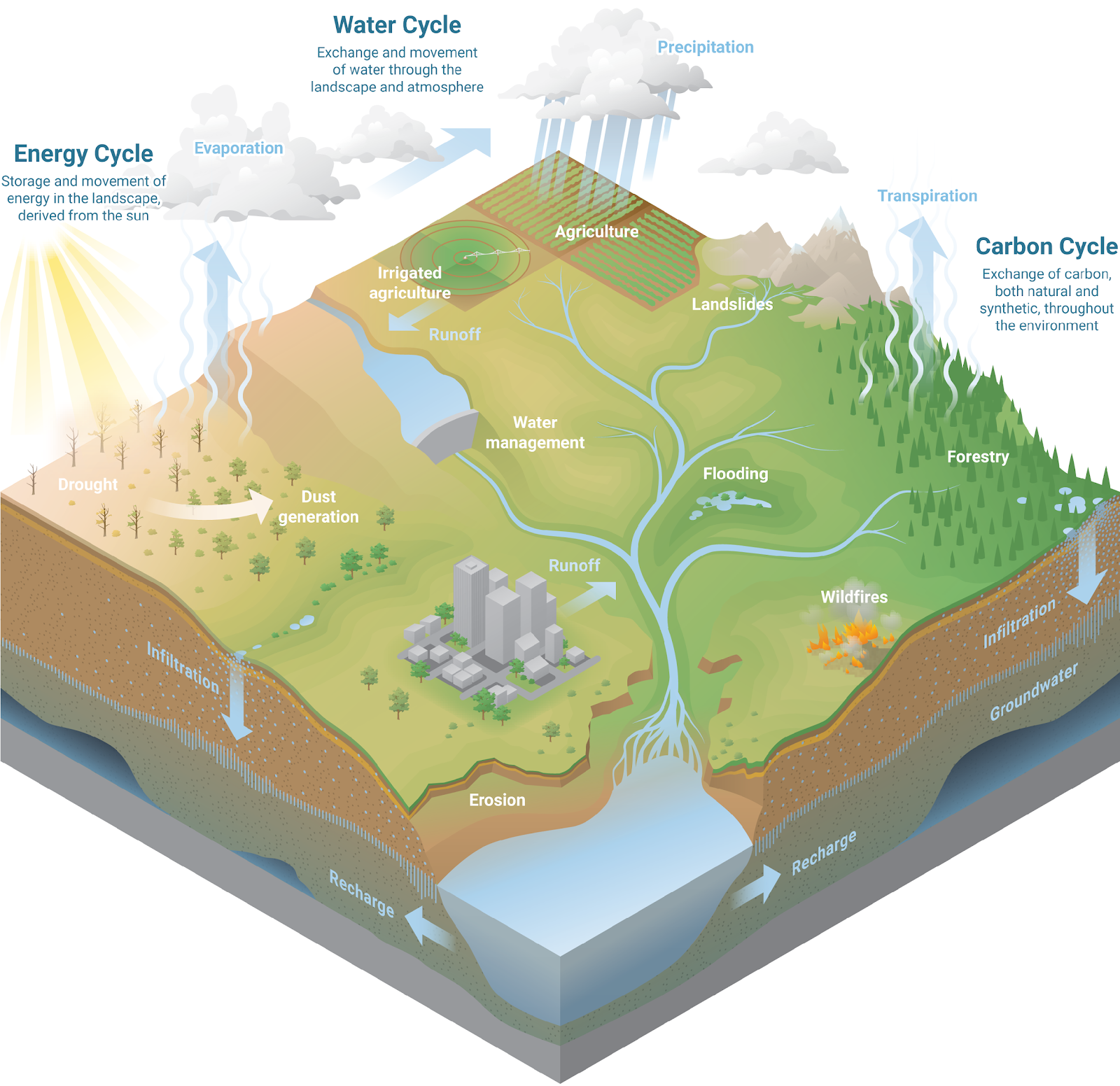 A illustration of soil moisture's role in the carbon, energy, and water cycles. When rain falls or snow melts, water soaks into the soil, where it may be held in place, taken up by plants, infiltrate deeper to recharge groundwater tables, or move across the land surface. Water is lost from the soil back to the atmosphere through evaporation or transpiration.