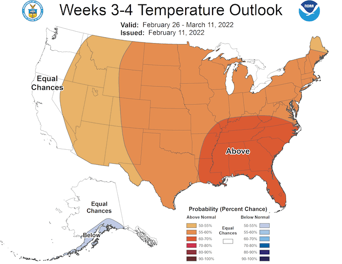 Climate Prediction Center week 3-4 temperature outlook for the U.S., from February 26–March 11, 2022. Odds favor above-normal temperatures in the Northeast.
