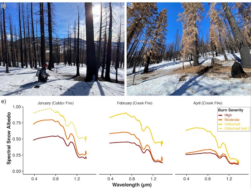 Two photographs showing (a) albedo measurements in a high burn severity forest during January and (b) burned debris and needles in a moderate burn severity forest. A graph below the images shows changes in albedo for unburned, moderate, and high burn sevreity forests during three fires in 2020–2021.