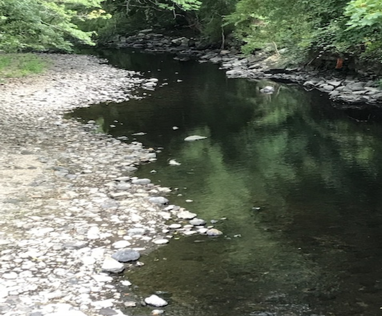 Massachusetts Drought: Charles River Dry in Some Areas – NBC Boston