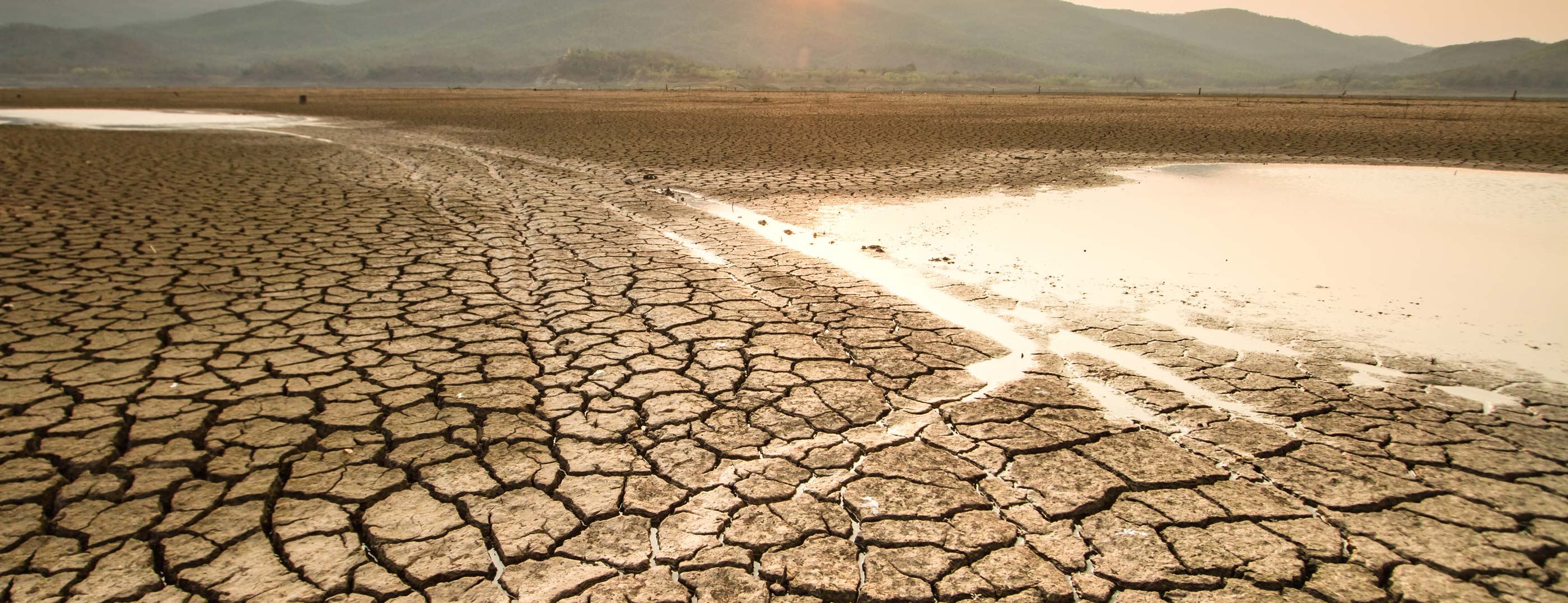 A drying lake with cracked soil
