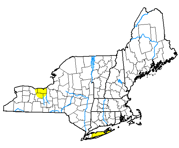 As of February 21, 2023, 1.94% of the Northeast is in drought.