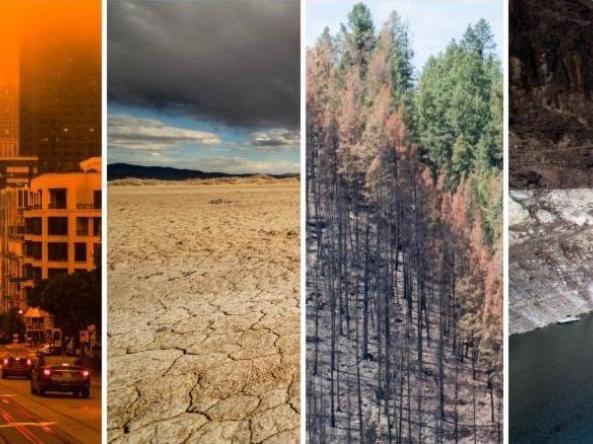 A series of images showing the impacts of drought and wildfire