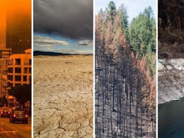 A series of images showing the impacts of drought and wildfire